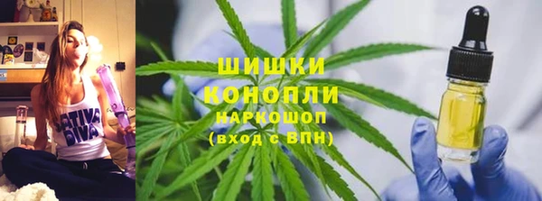 дживик Мегион