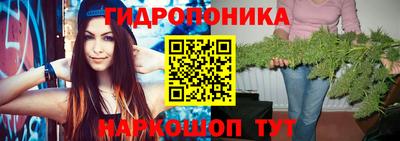 прущий лед Пугачёв