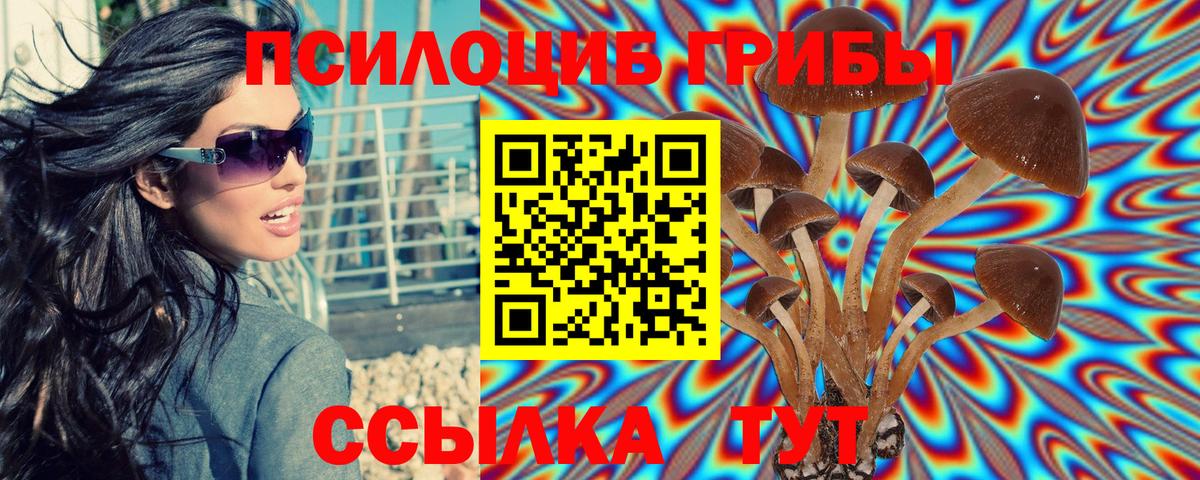 что такое наркотик  Вход с VPN  Прокопьевск  Псилоцибиновые грибы MAGIC MUSHROOMS 